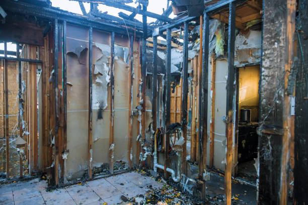 Professional Fire Damage Removal technician working in Federal Way, WA
