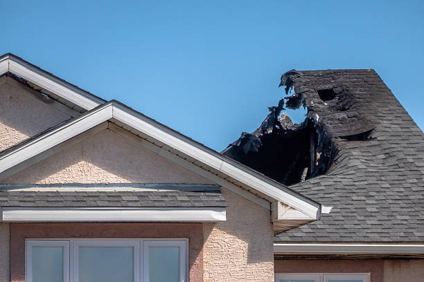 Top rated local Fire Damage Removal specialists in Federal Way, WA